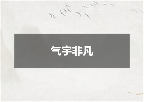 气宇非凡