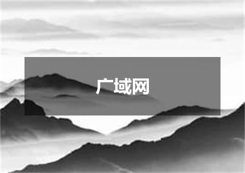 广域网