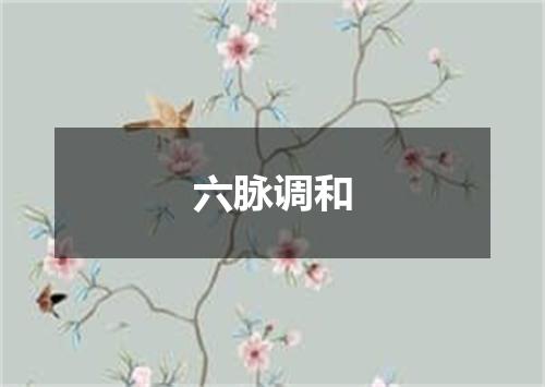 六脉调和