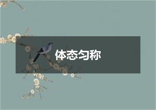 体态匀称
