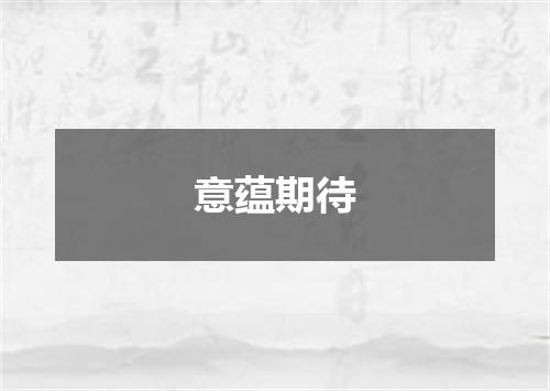 意蕴期待