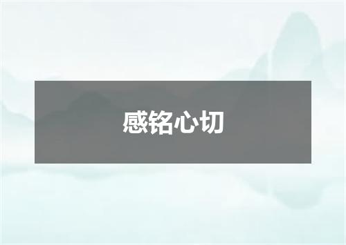 感铭心切