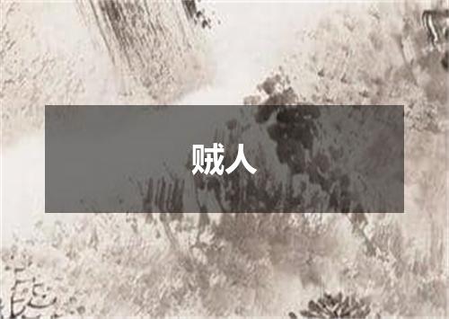 贼人