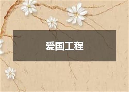 爱国工程