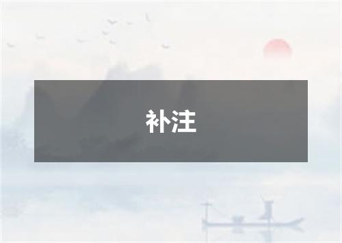 补注
