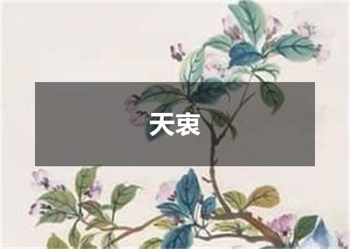 天衷