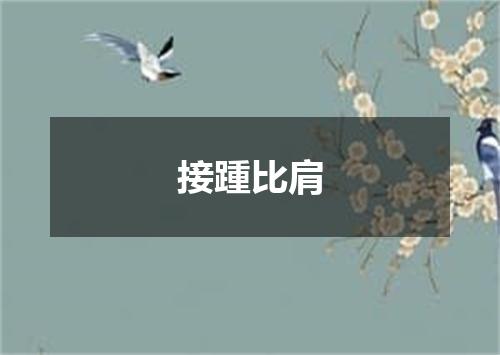 接踵比肩