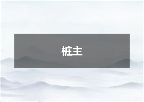 桩主