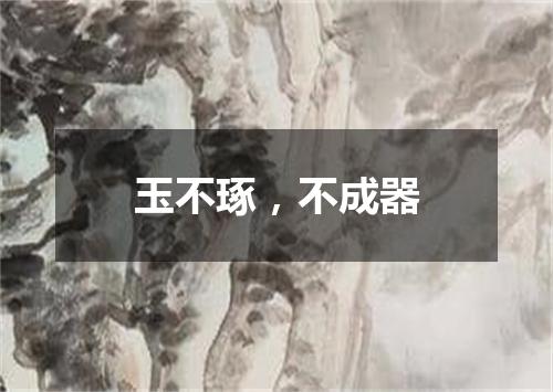 玉不琢，不成器
