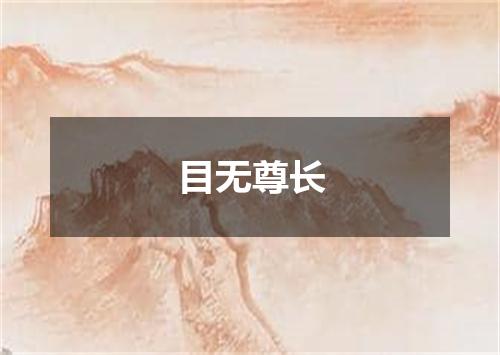 目无尊长