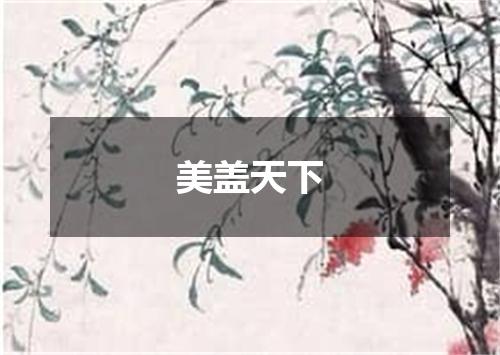 美盖天下