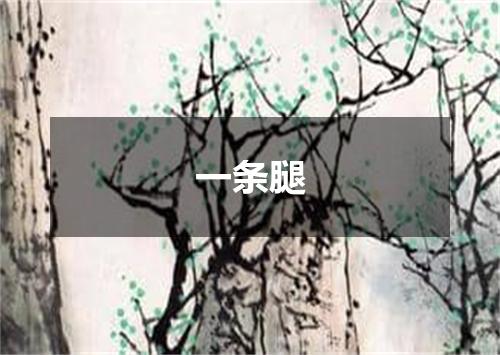 一条腿