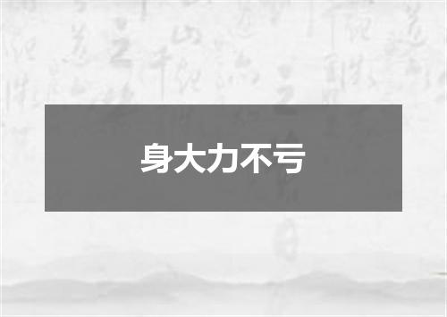 身大力不亏