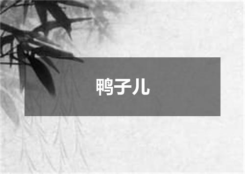 鸭子儿