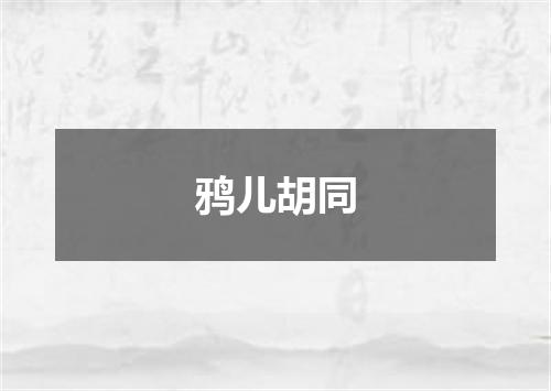 鸦儿胡同