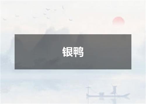 银鸭