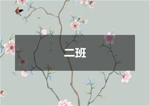 二班