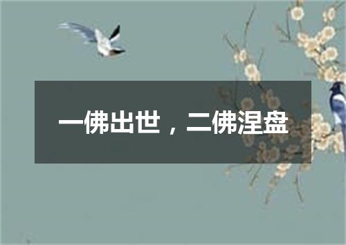 一佛出世，二佛涅盘