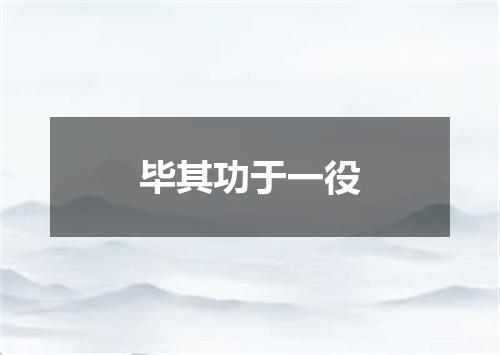 毕其功于一役