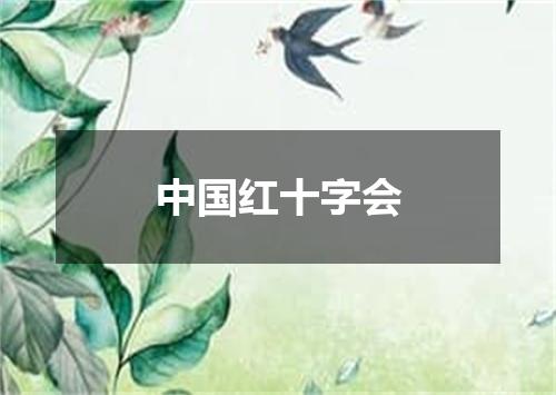 中国红十字会