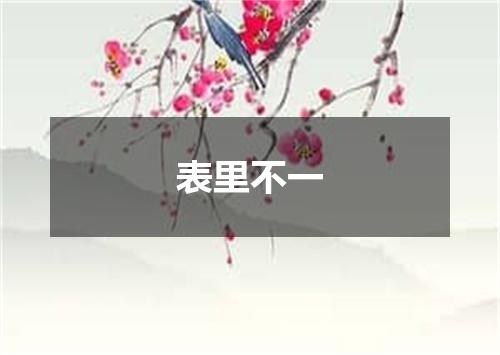 表里不一