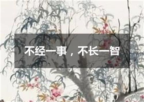 不经一事，不长一智
