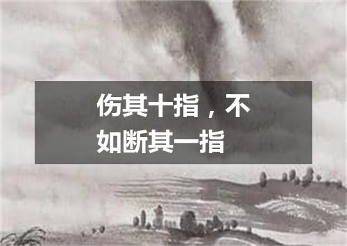 伤其十指，不如断其一指