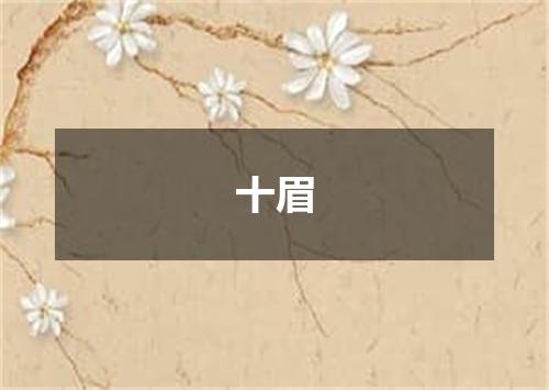 十眉