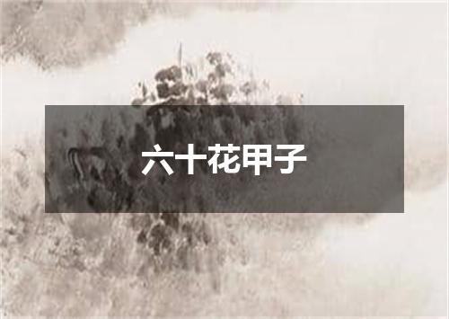 六十花甲子