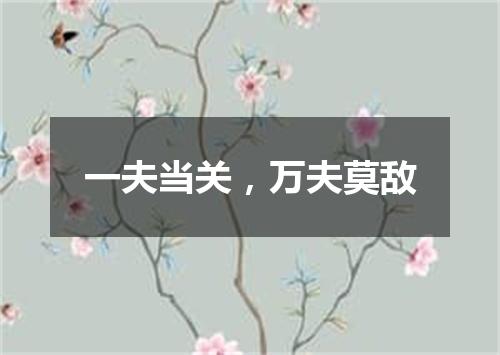 一夫当关，万夫莫敌