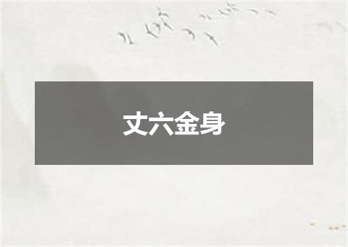 丈六金身