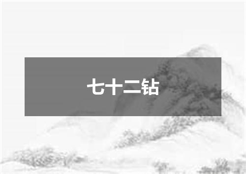 七十二钻