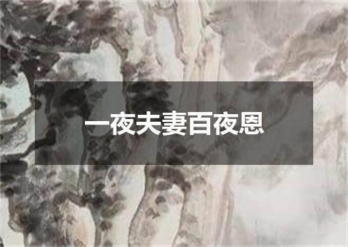 一夜夫妻百夜恩