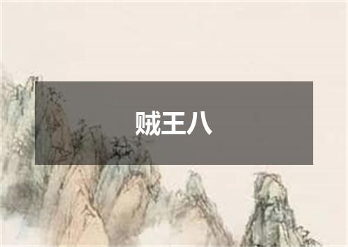 贼王八
