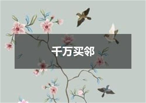 千万买邻