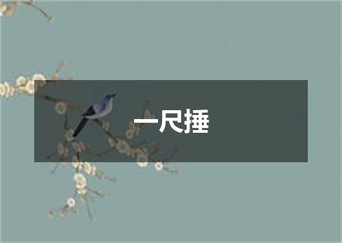 一尺捶
