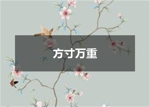 方寸万重