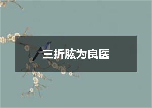 三折肱为良医