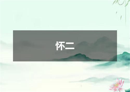 怀二