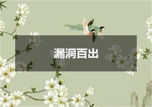 漏洞百出
