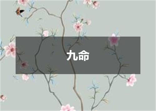 九命