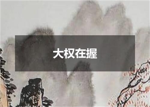 大权在握