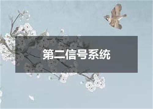 第二信号系统
