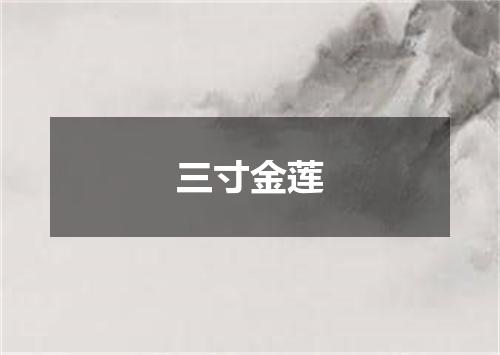 三寸金莲
