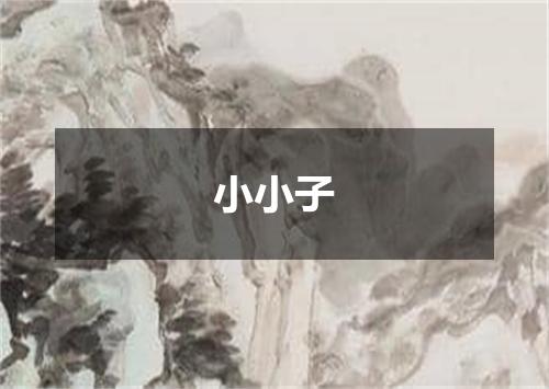 小小子