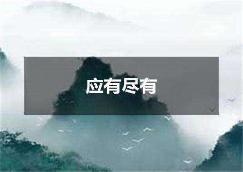 应有尽有