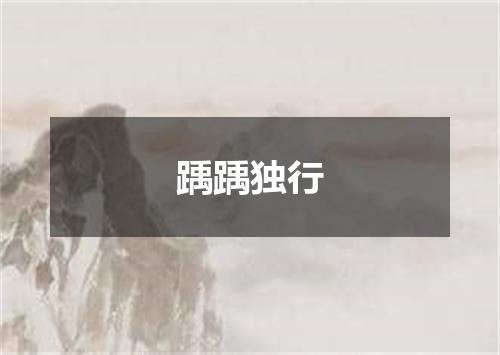 踽踽独行