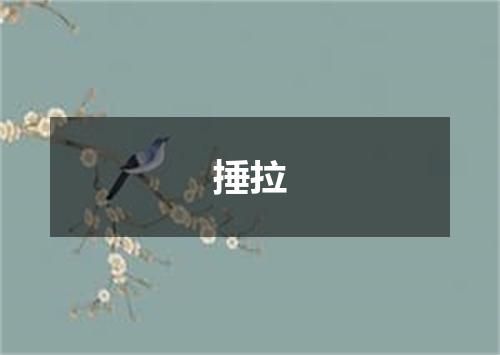 捶拉