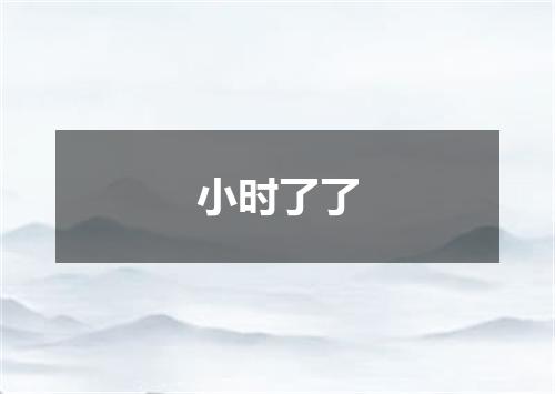 小时了了