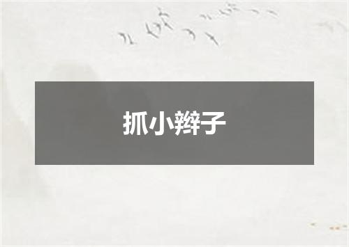 抓小辫子